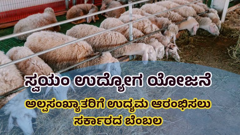 ಸ್ವಯಂ ಉದ್ಯೋಗ ಯೋಜನೆ